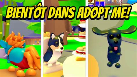 Comment Avoir La Trottinette Adopt Me Roblox Hack 2019 Cake By The Ocean Roblox Hack Id - donner robux amie roblox